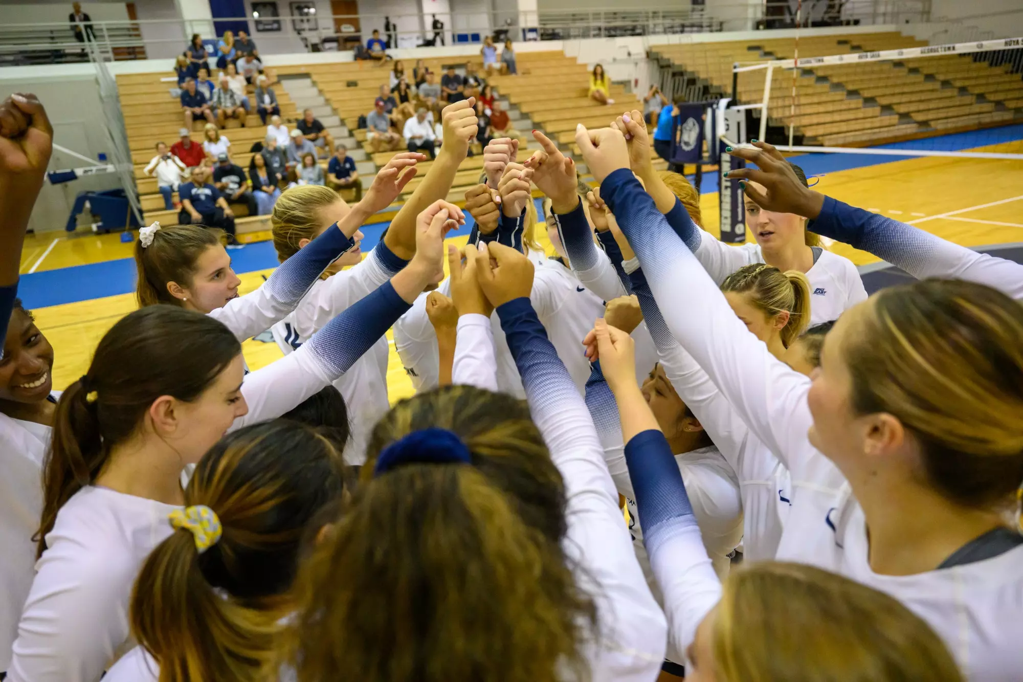 Volleyball vs Rider