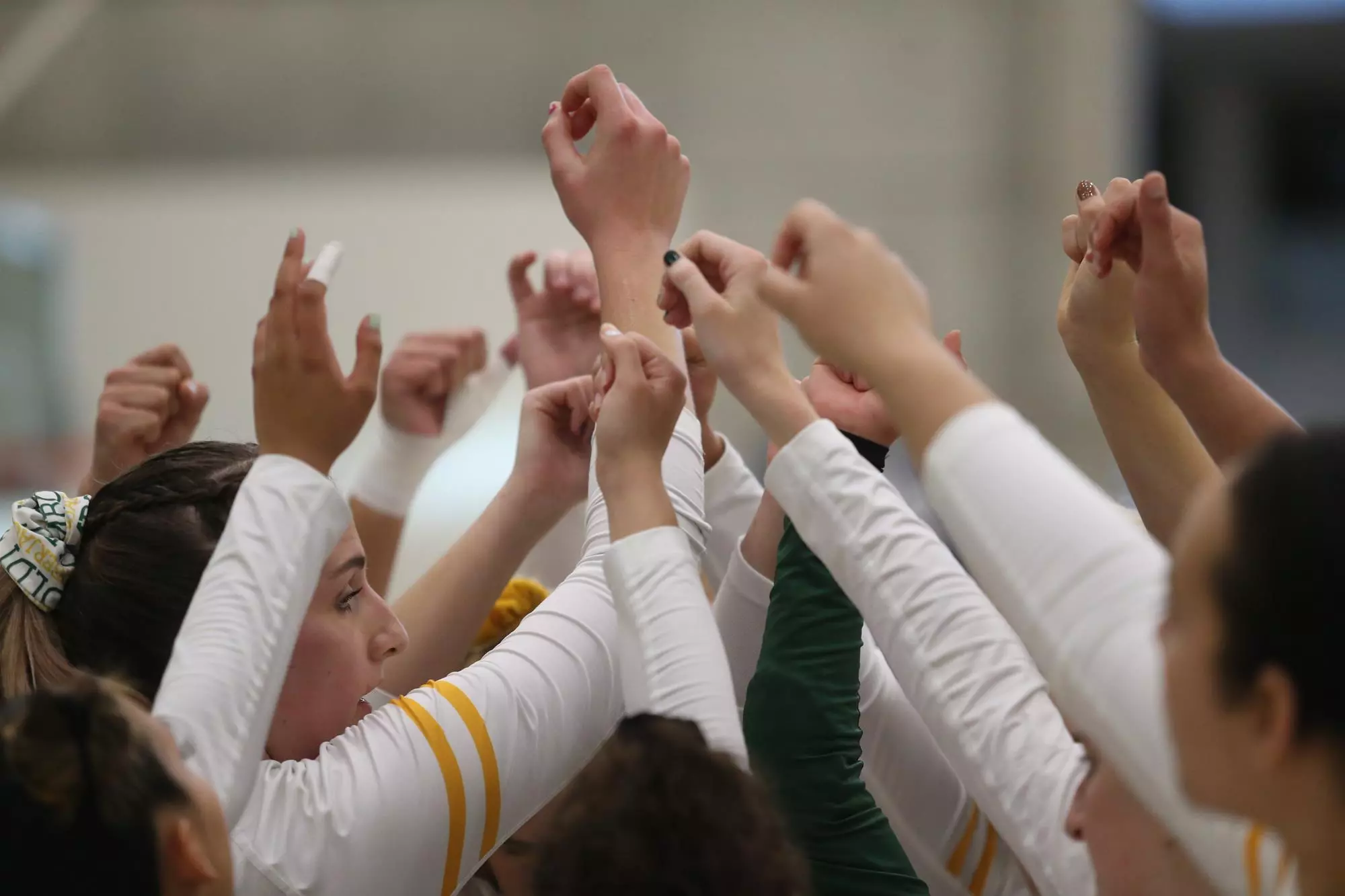 VB Team