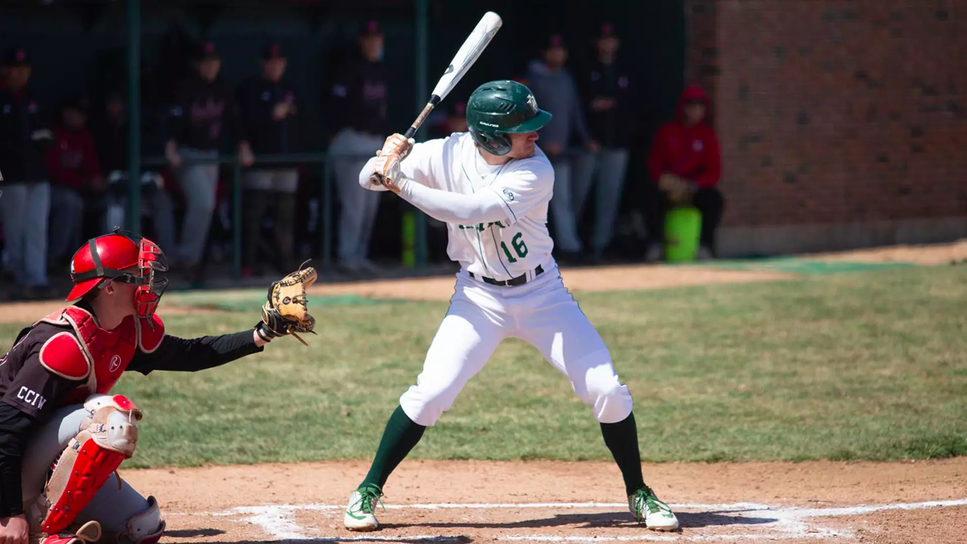 Nick Figus Batting