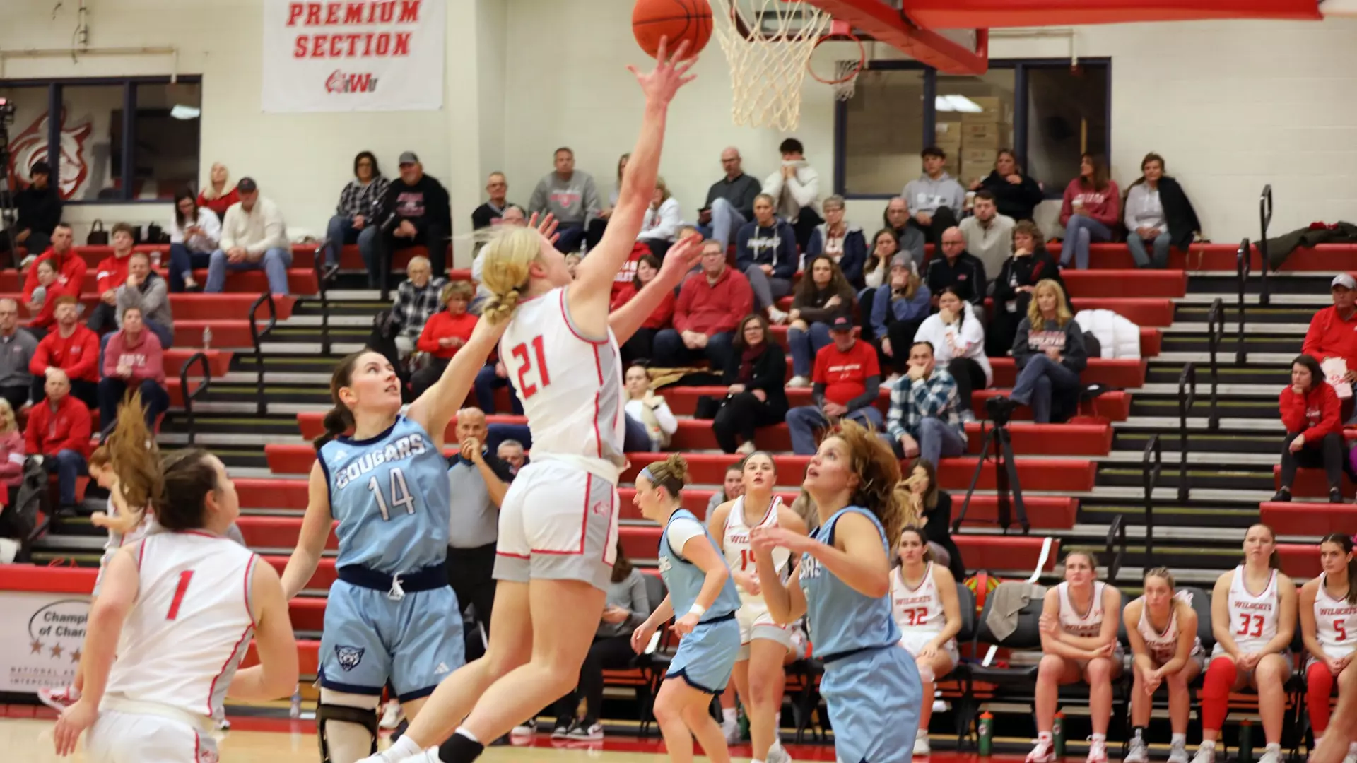 wbb vs. mvnu