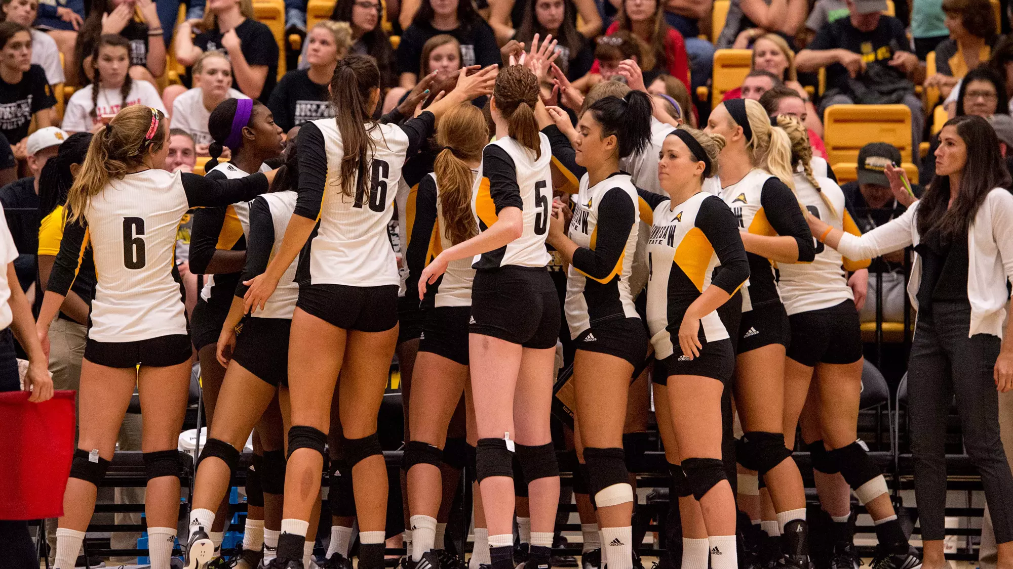 VB Team