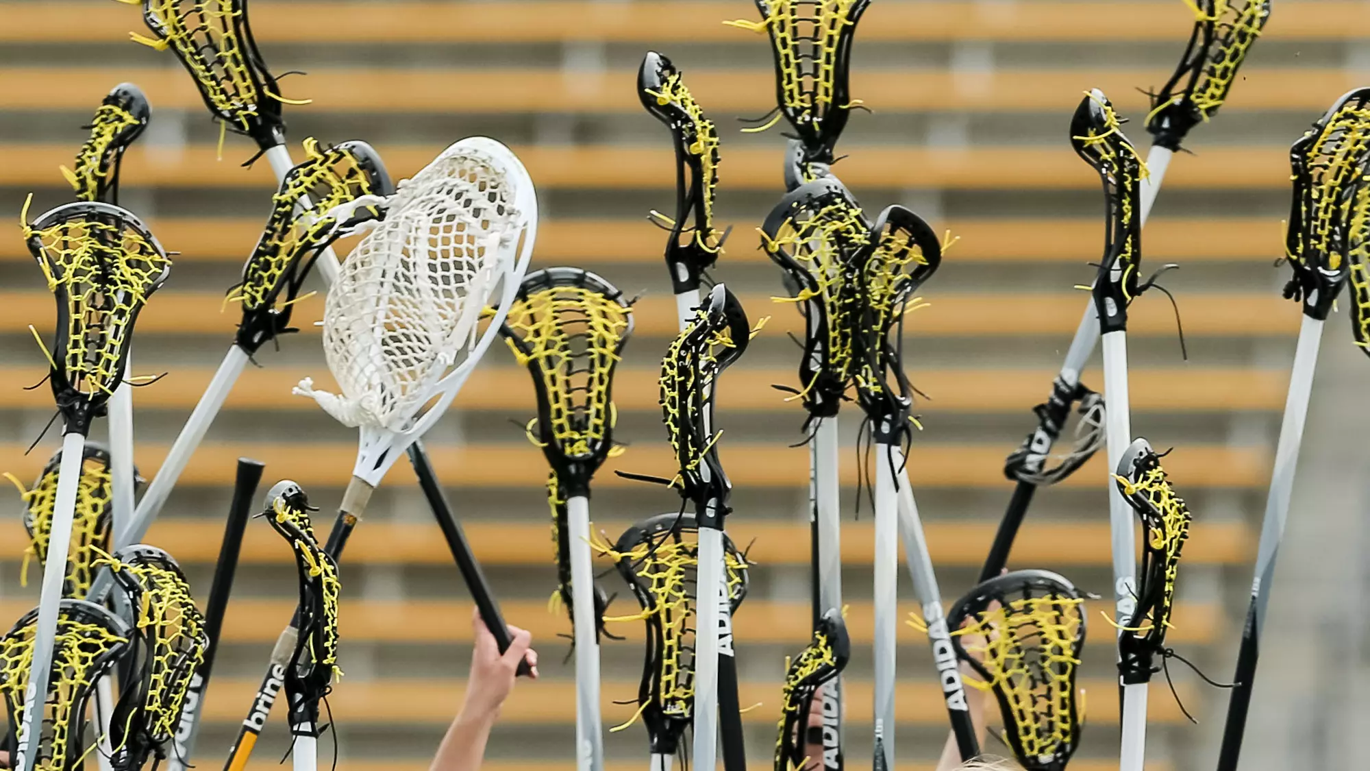 Lacrosse