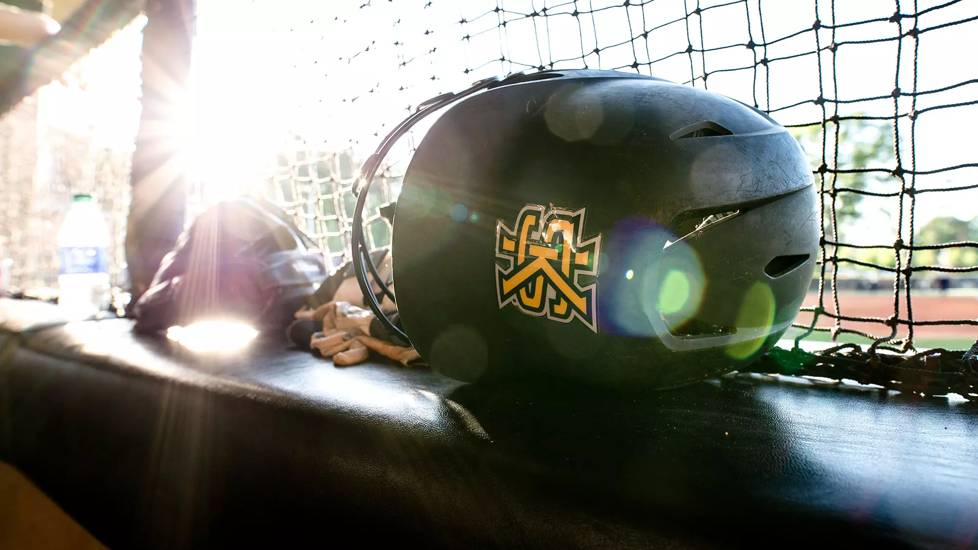 Softball Helmet