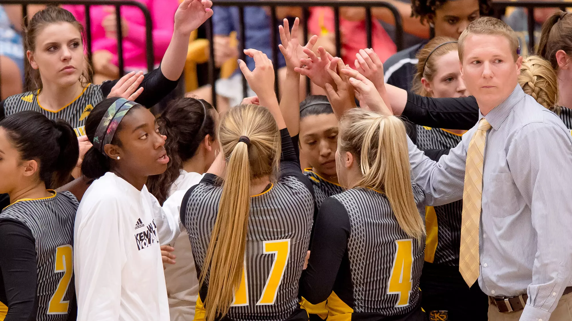 VB Team