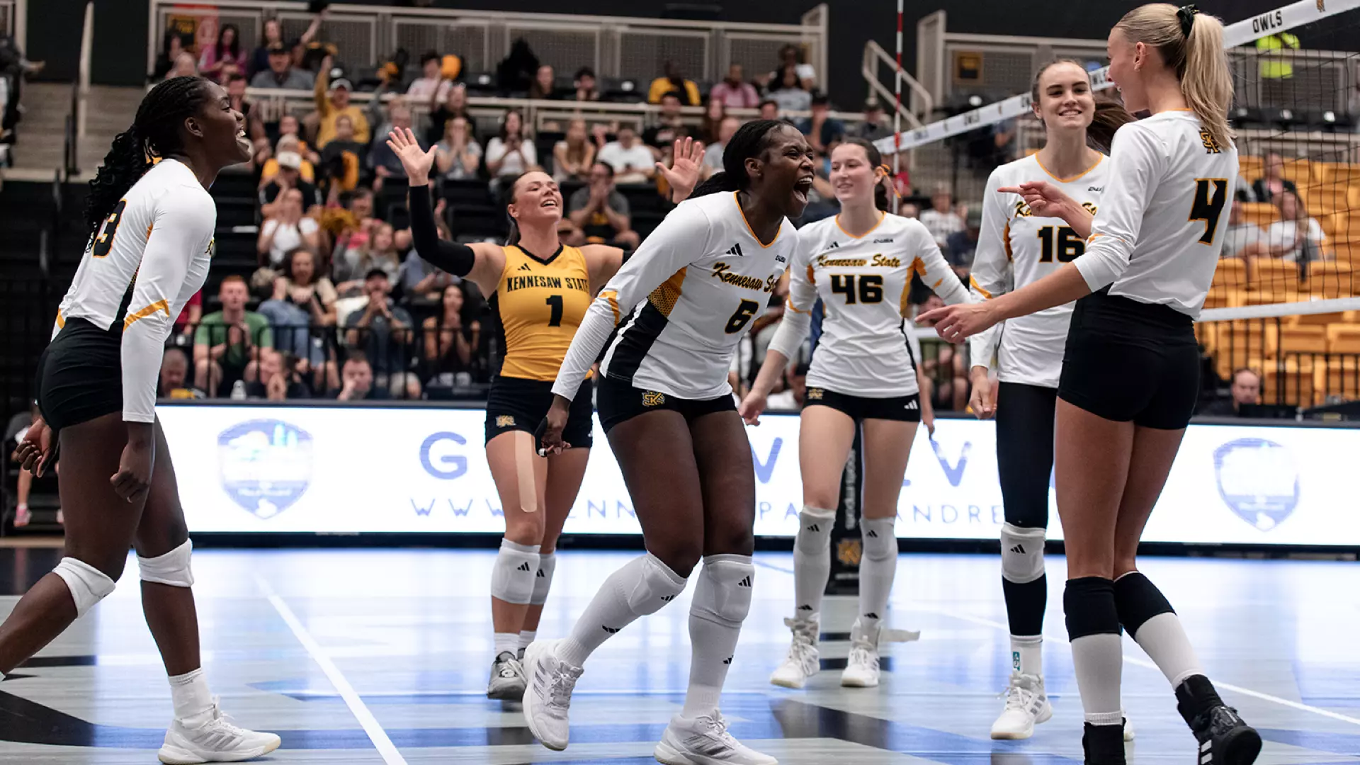 Owls vs South Carolina State
