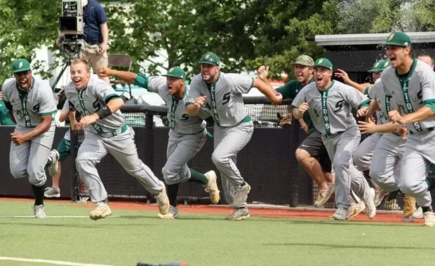 Dugout Dash - 2014 baseball