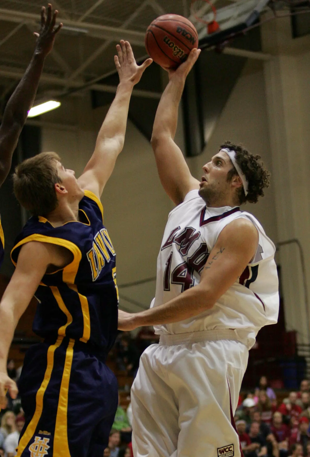Matthew Knight returns for the Lions this weekend.