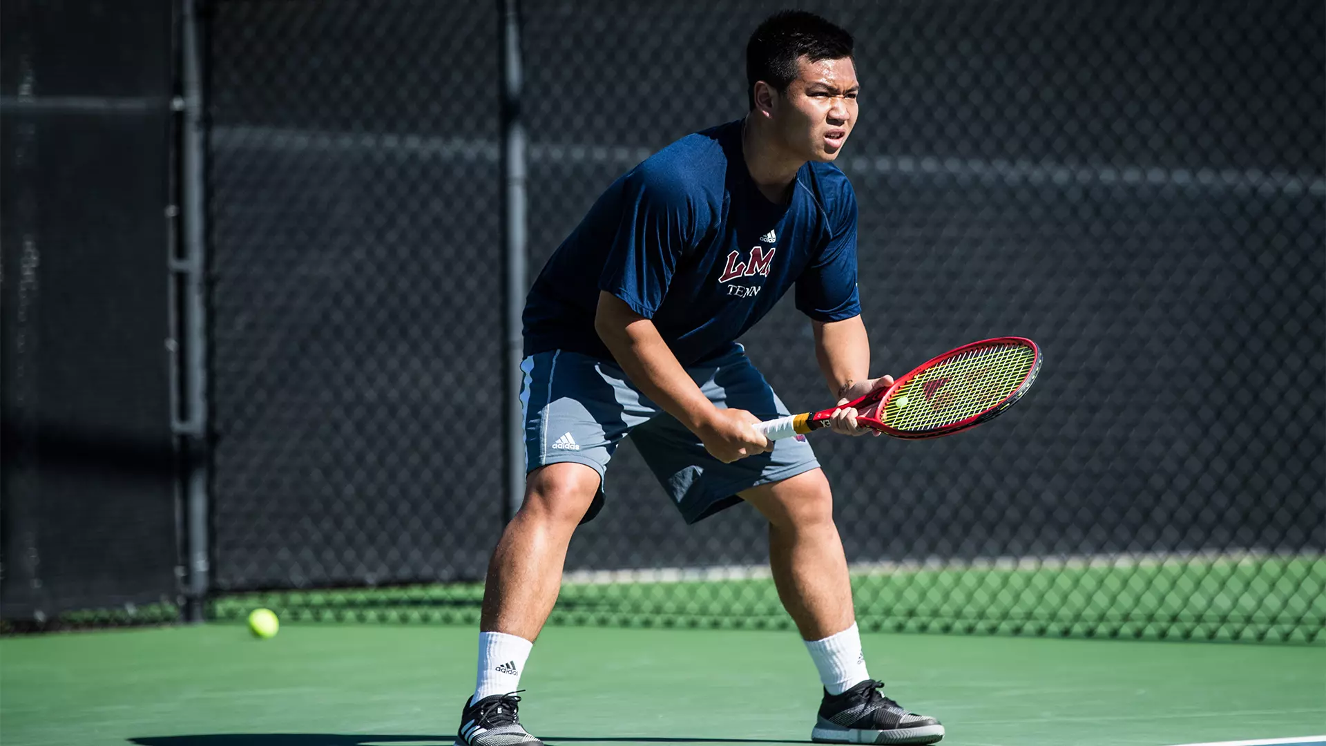 Nguyen 