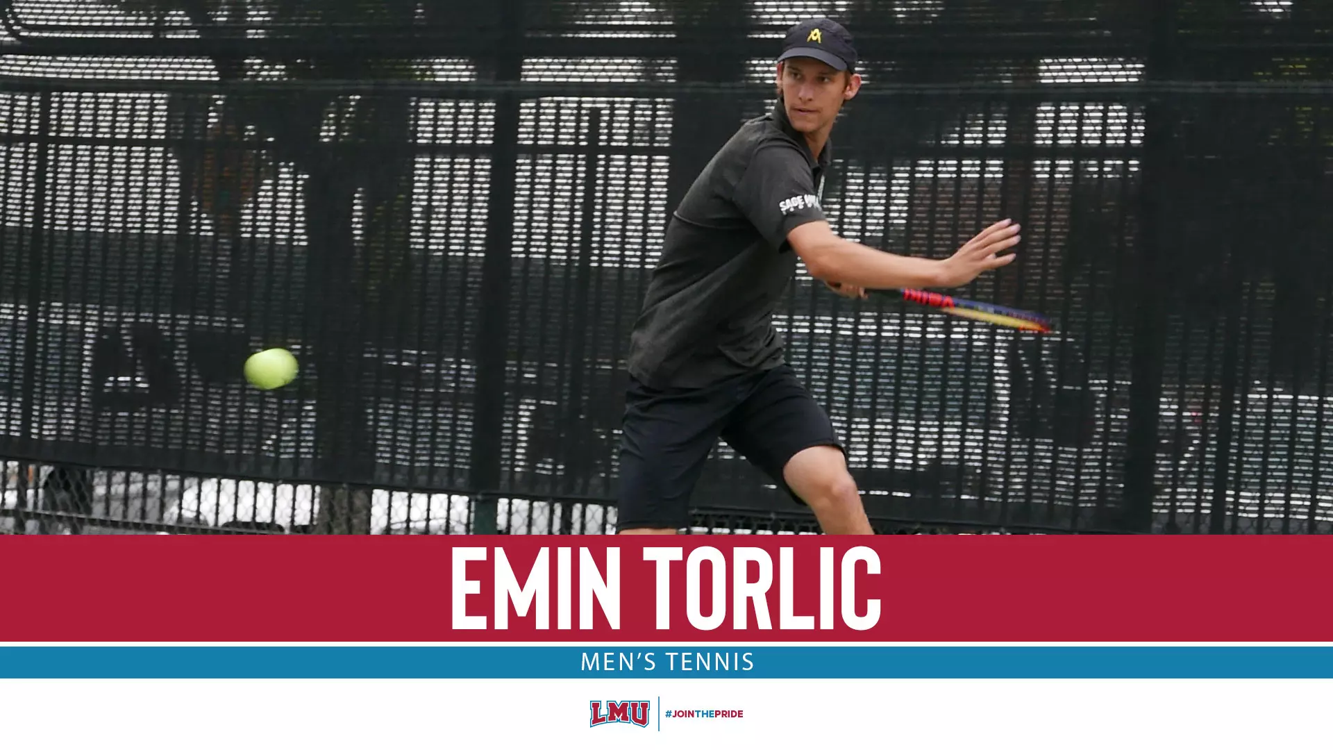 Torlic