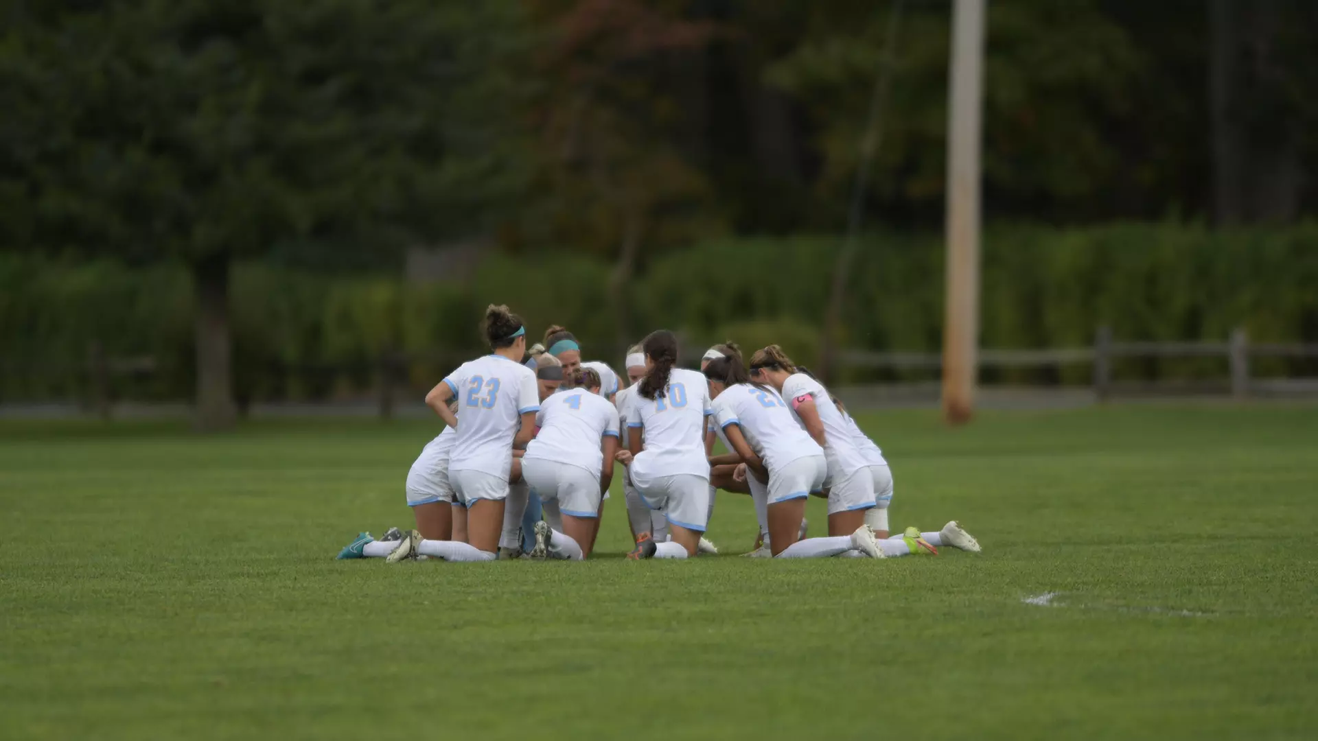 Team