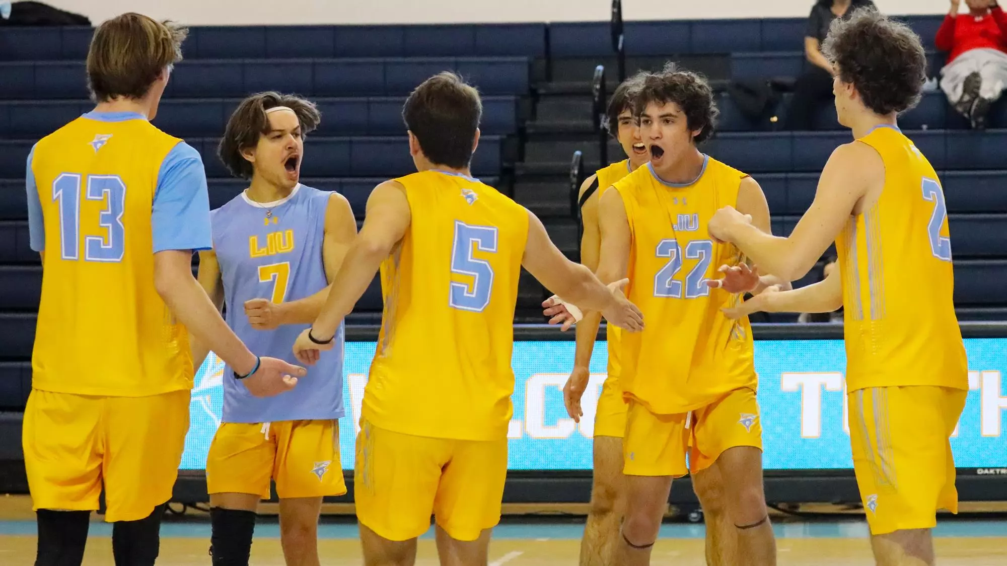 MVB Celly