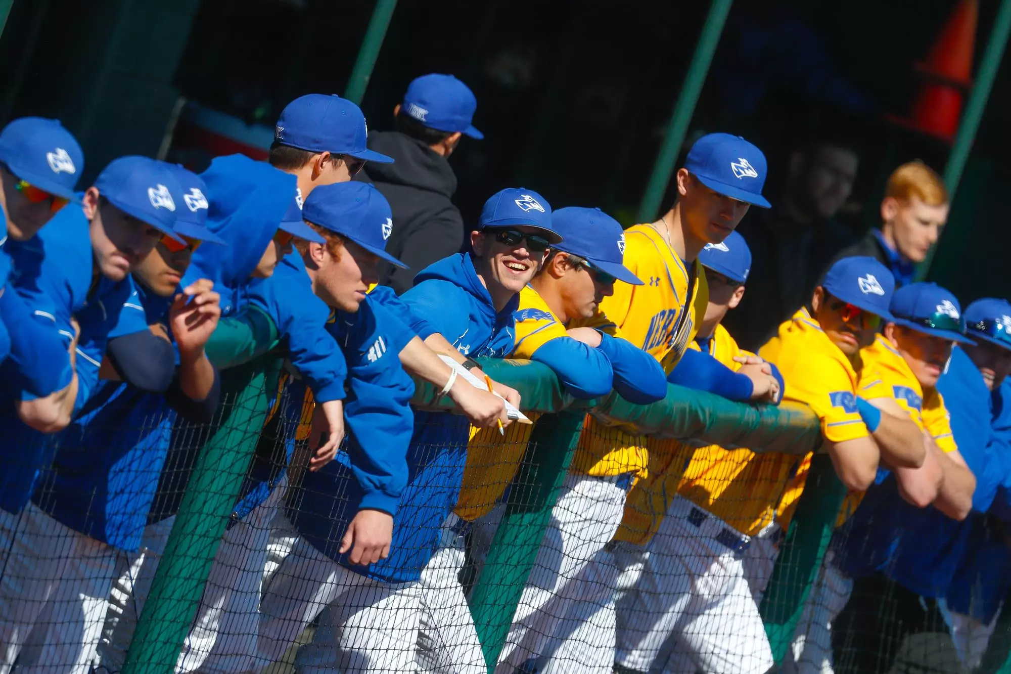 Team Dugout