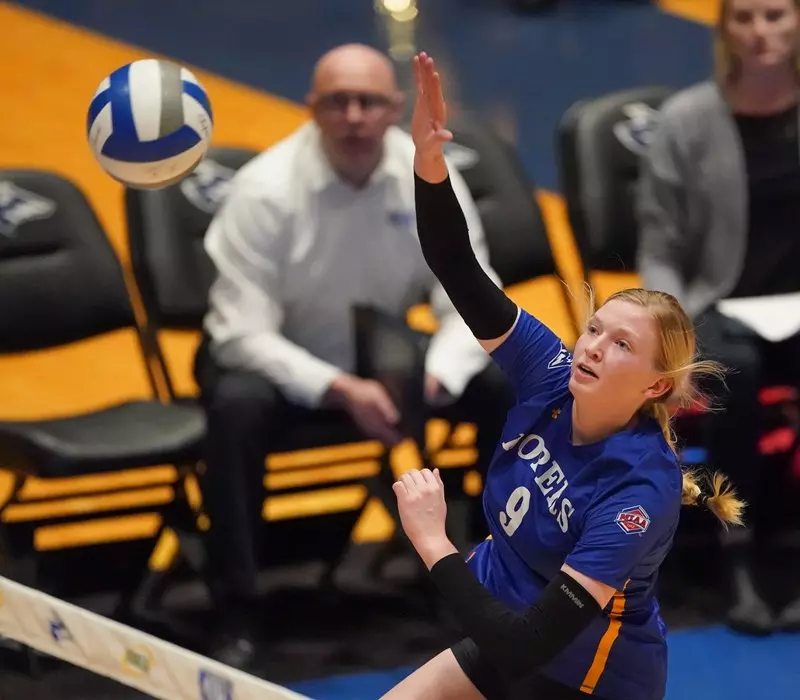 UNK VB