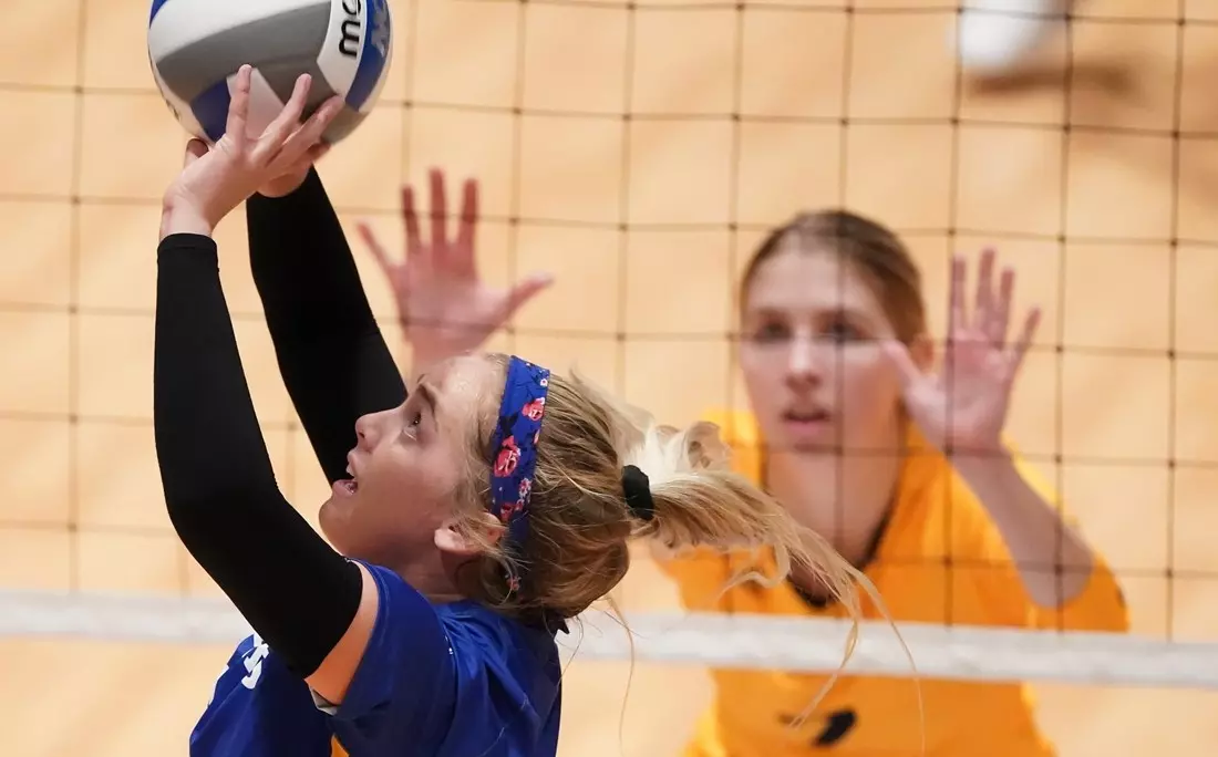 UNK VB