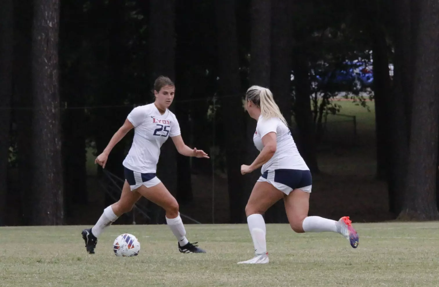 wsoc