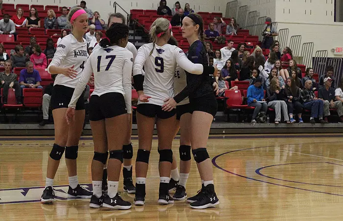 preview wvb