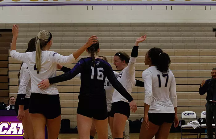 wvb