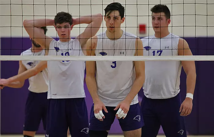 mvb