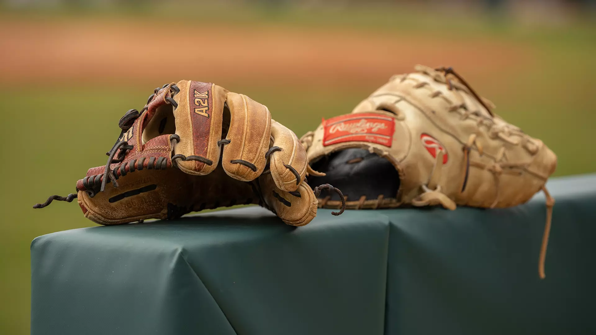 Baseball Gloves