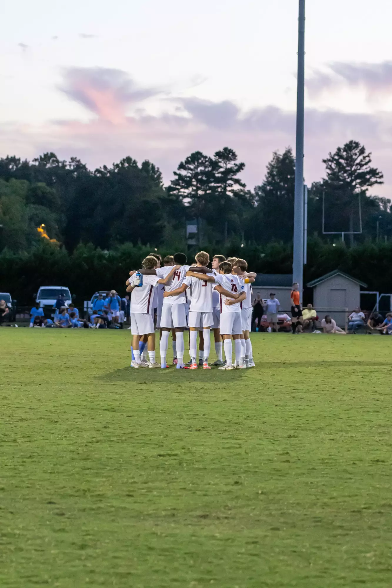 Team