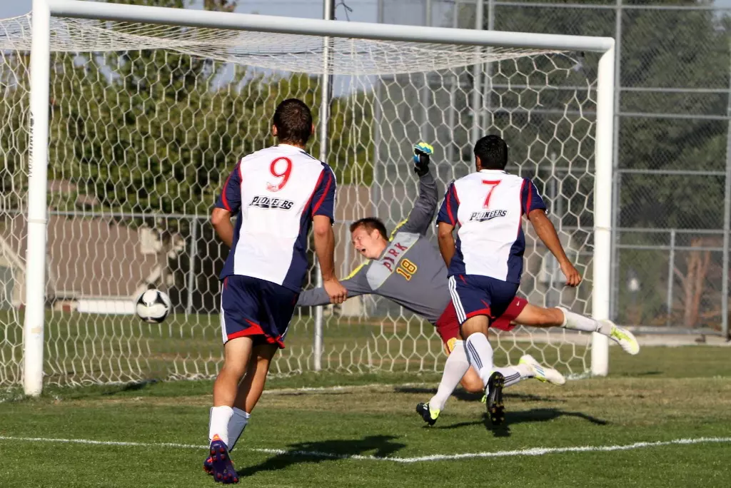 goal vs. park
