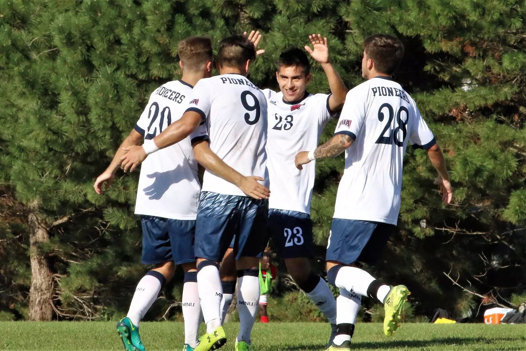 msoc