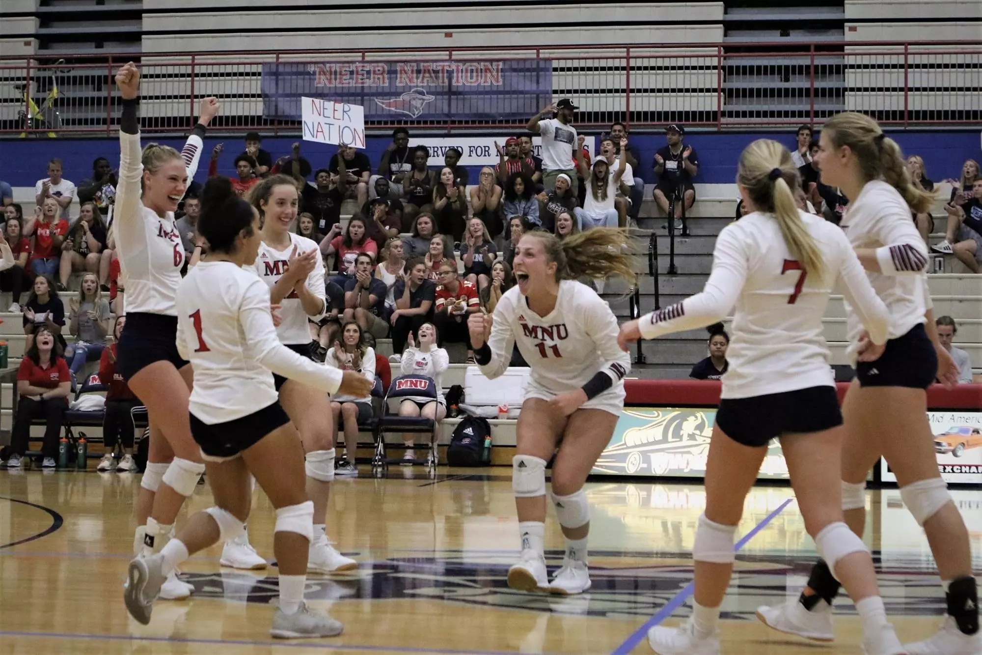 volleyball