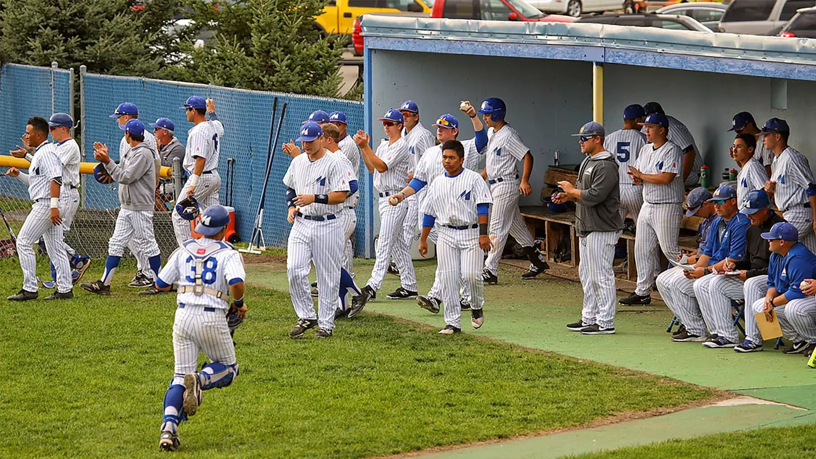 Comet Baseball