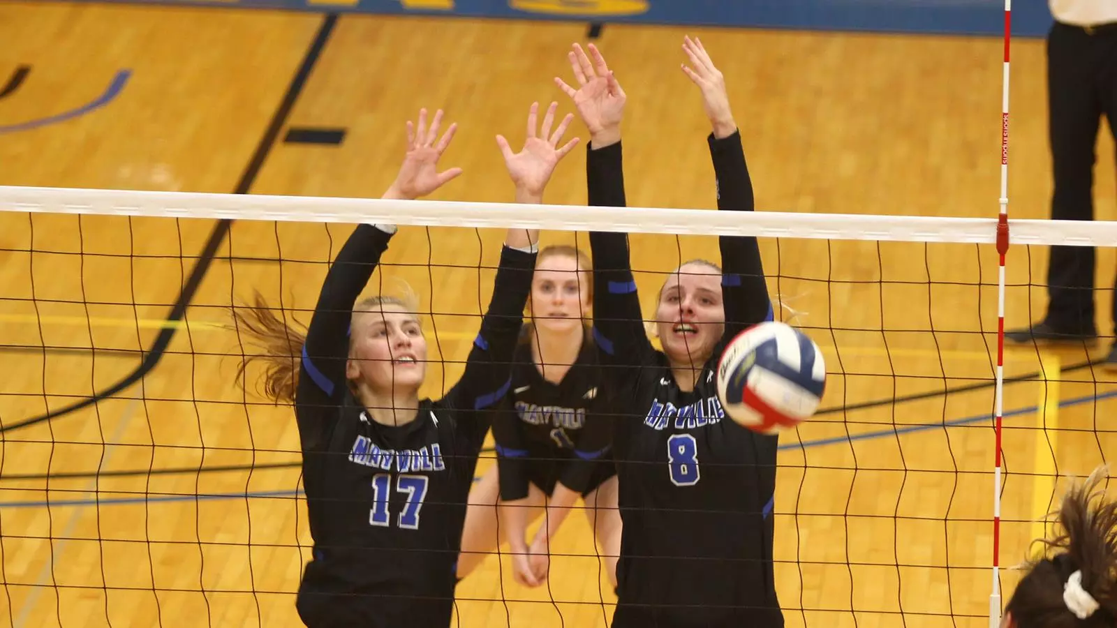 Volleyball Block