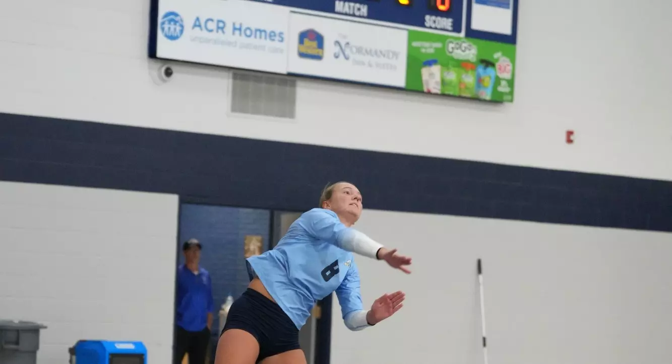 WVB Loss