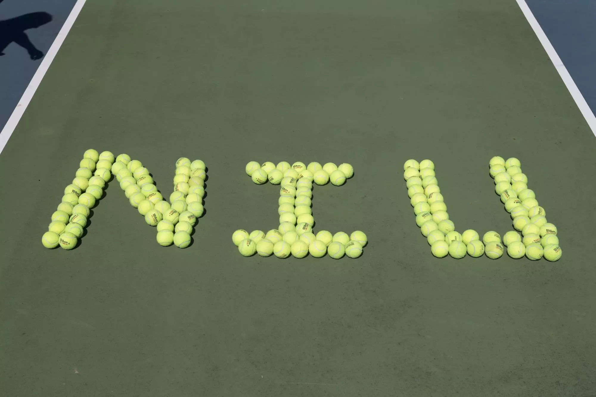 NIU Tennis Balls