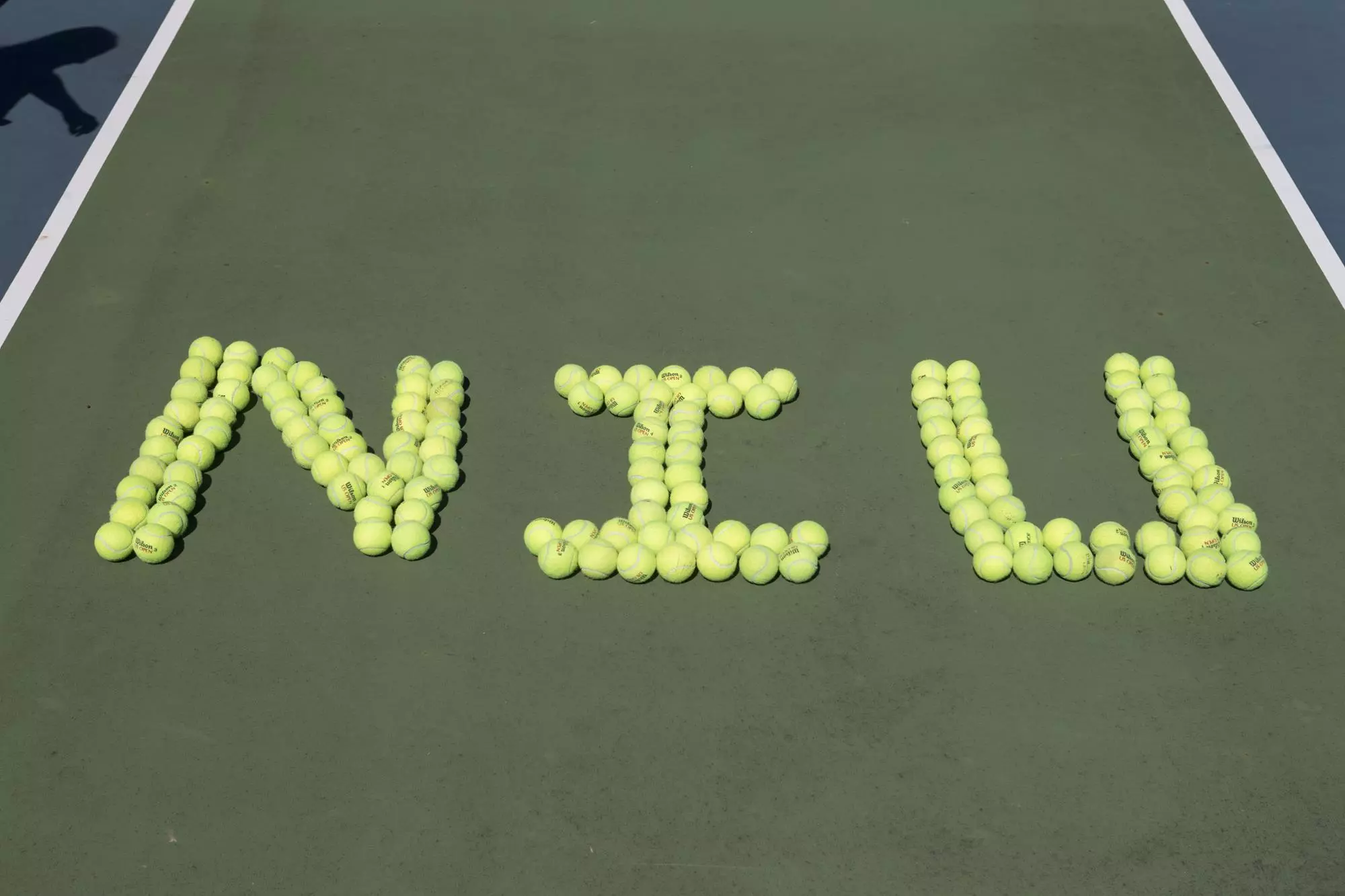 NIU Tennis Balls