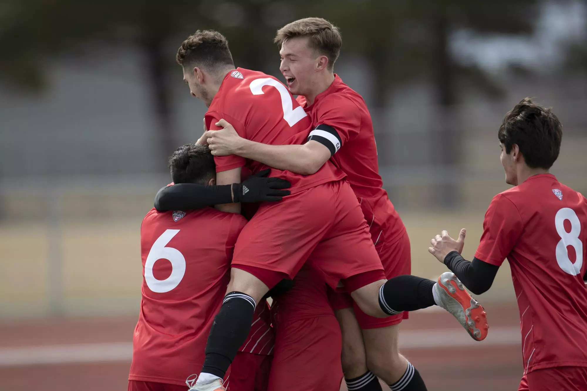 team celebration