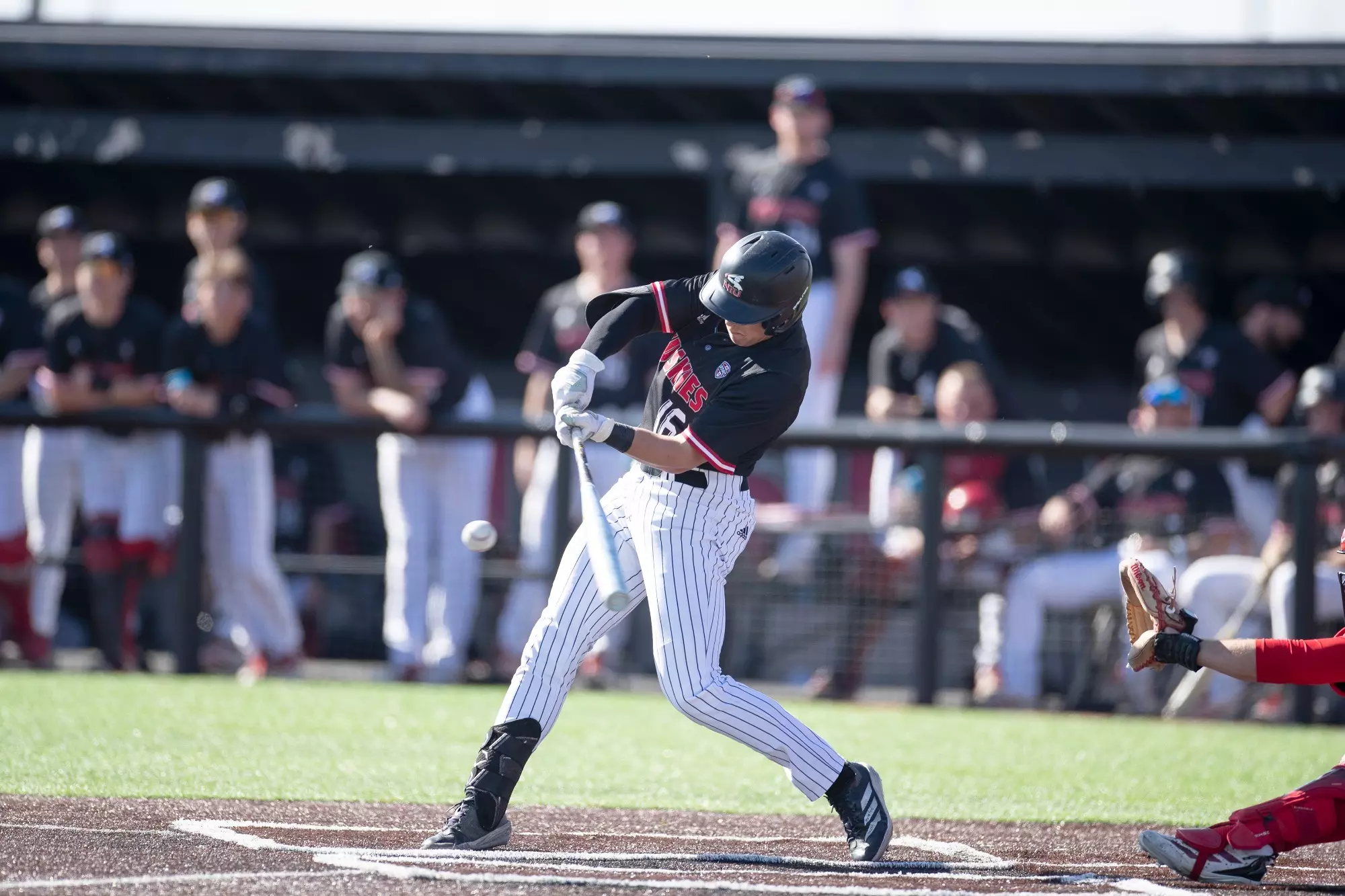 BASE- Vinny Spotofora vs Mami 3-21