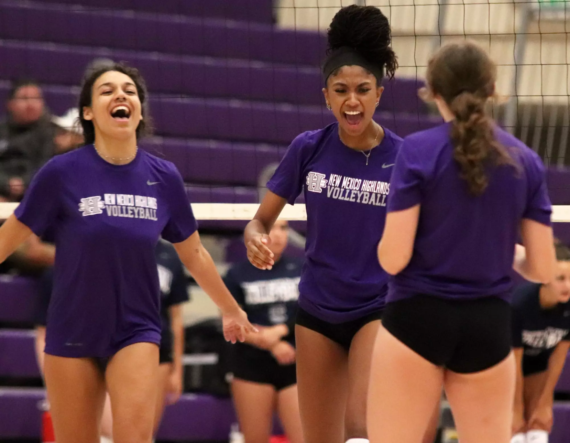 Volleyball