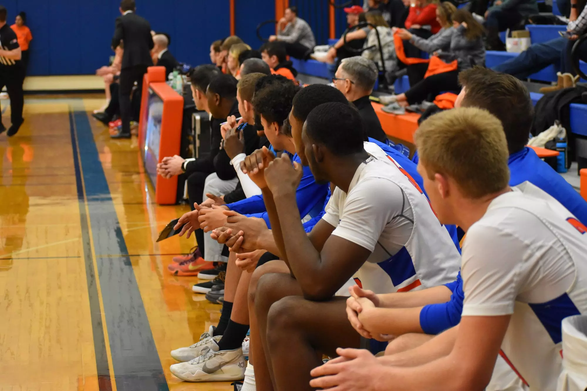 New Paltz Hawks