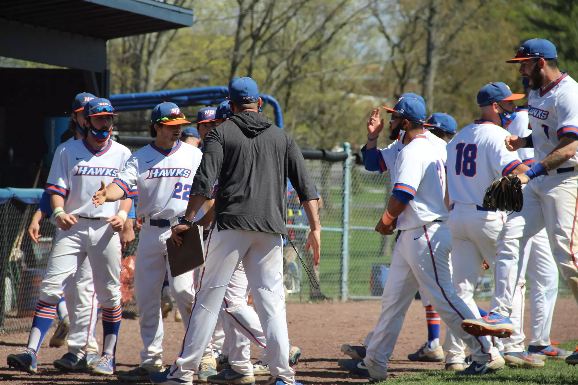 New Paltz Hawks
