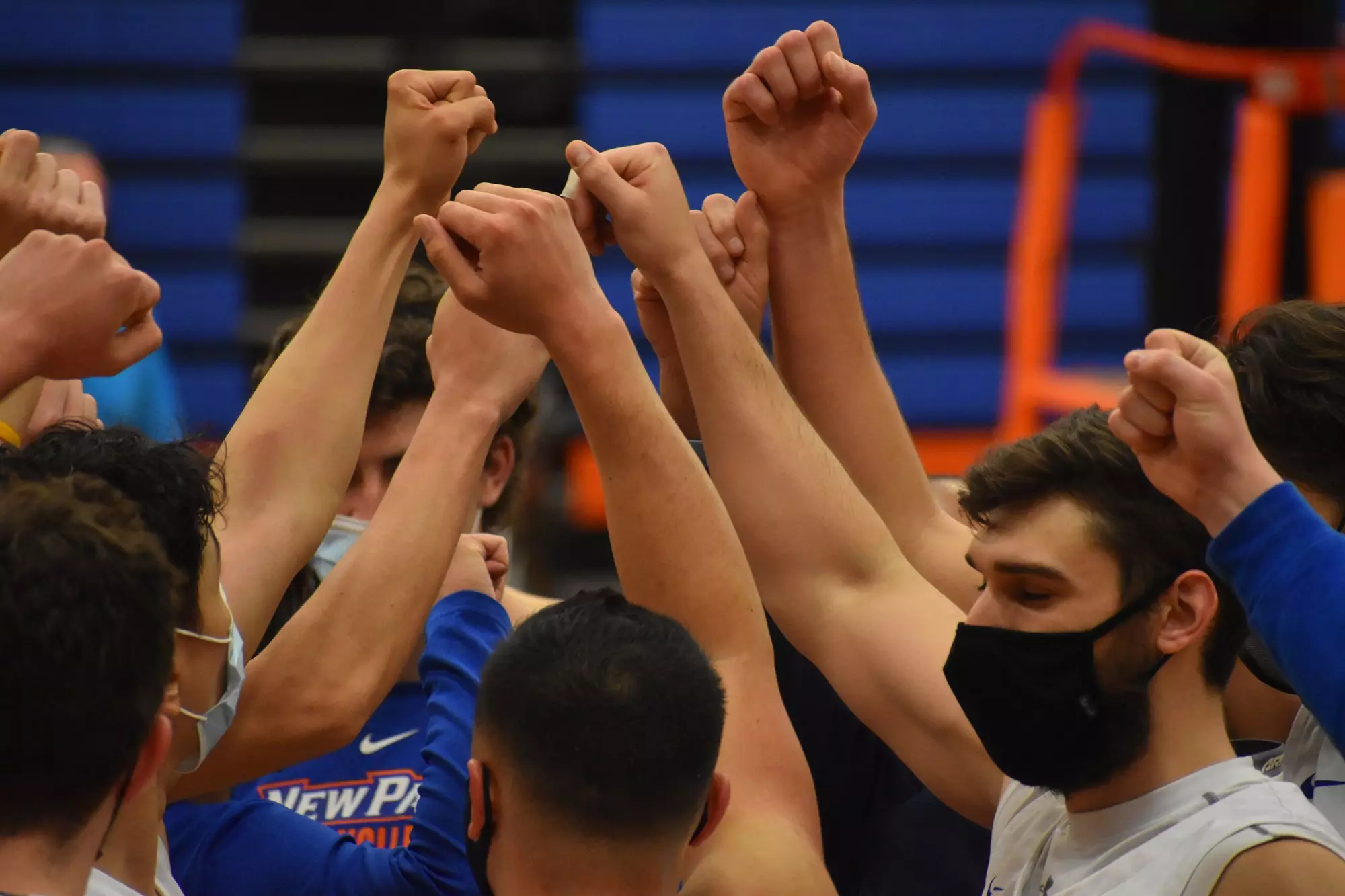 New Paltz Hawks