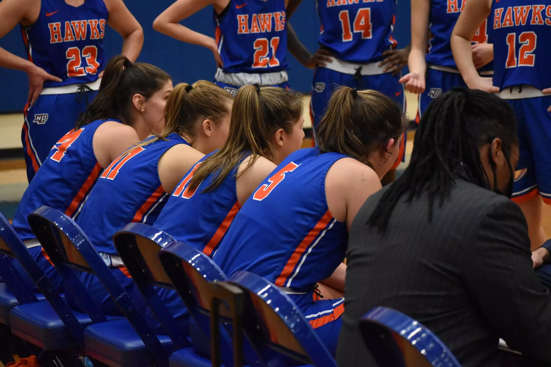 New Paltz Hawks