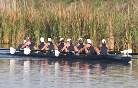 Varsity 8