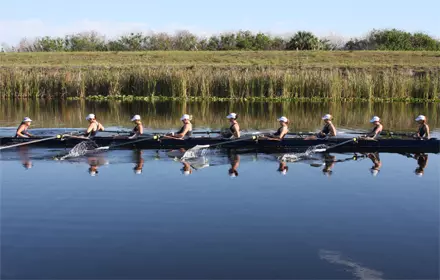 Rowing V8