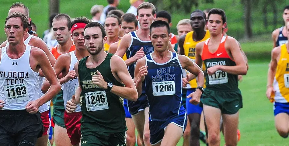 xc