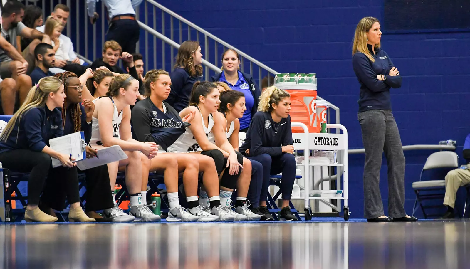 WBB Bench Pic