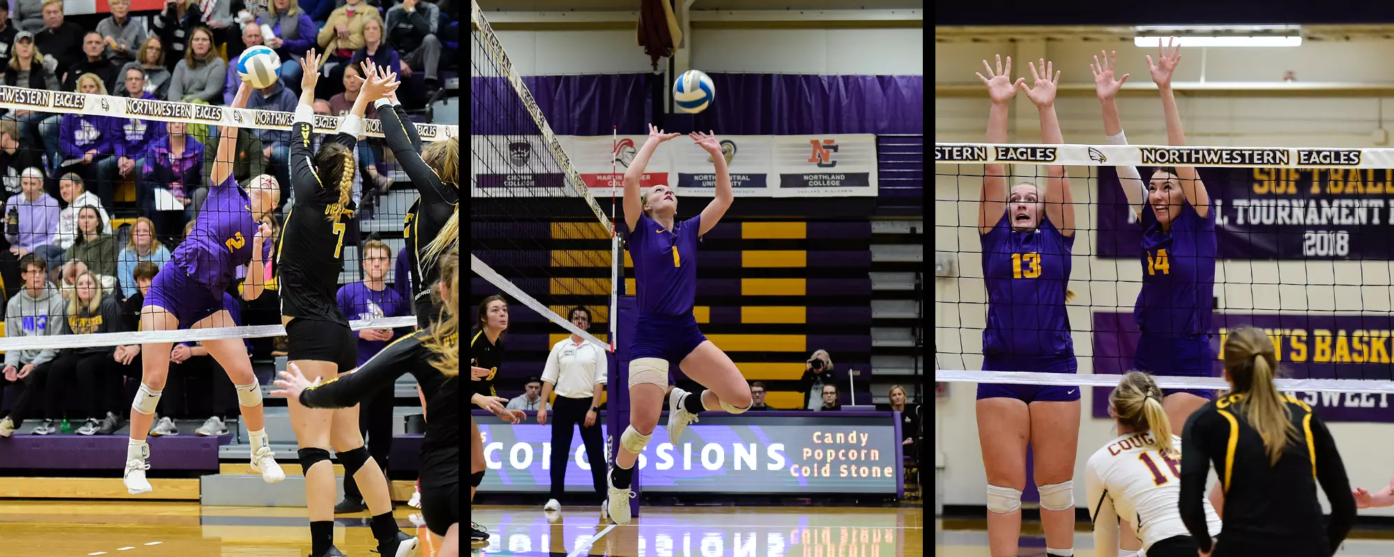 Volleyball POW