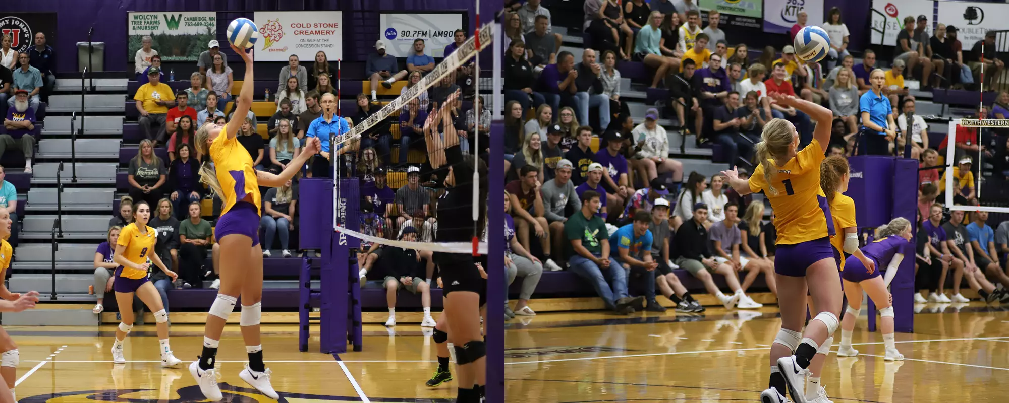 Player of the Week VB