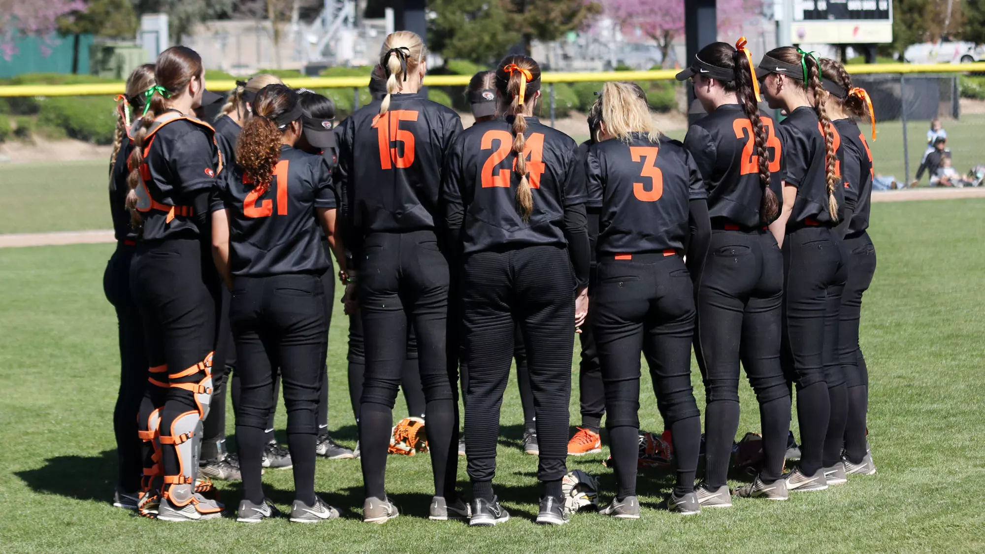 Softball Team Huddle