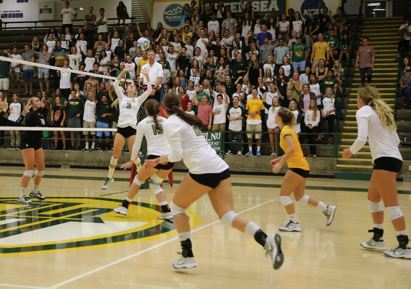 Wedemeyer crowd