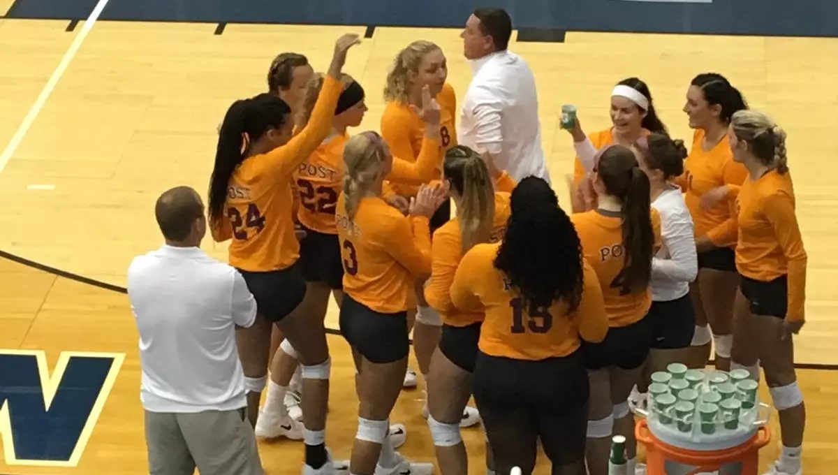 VB NSU Shark Invite