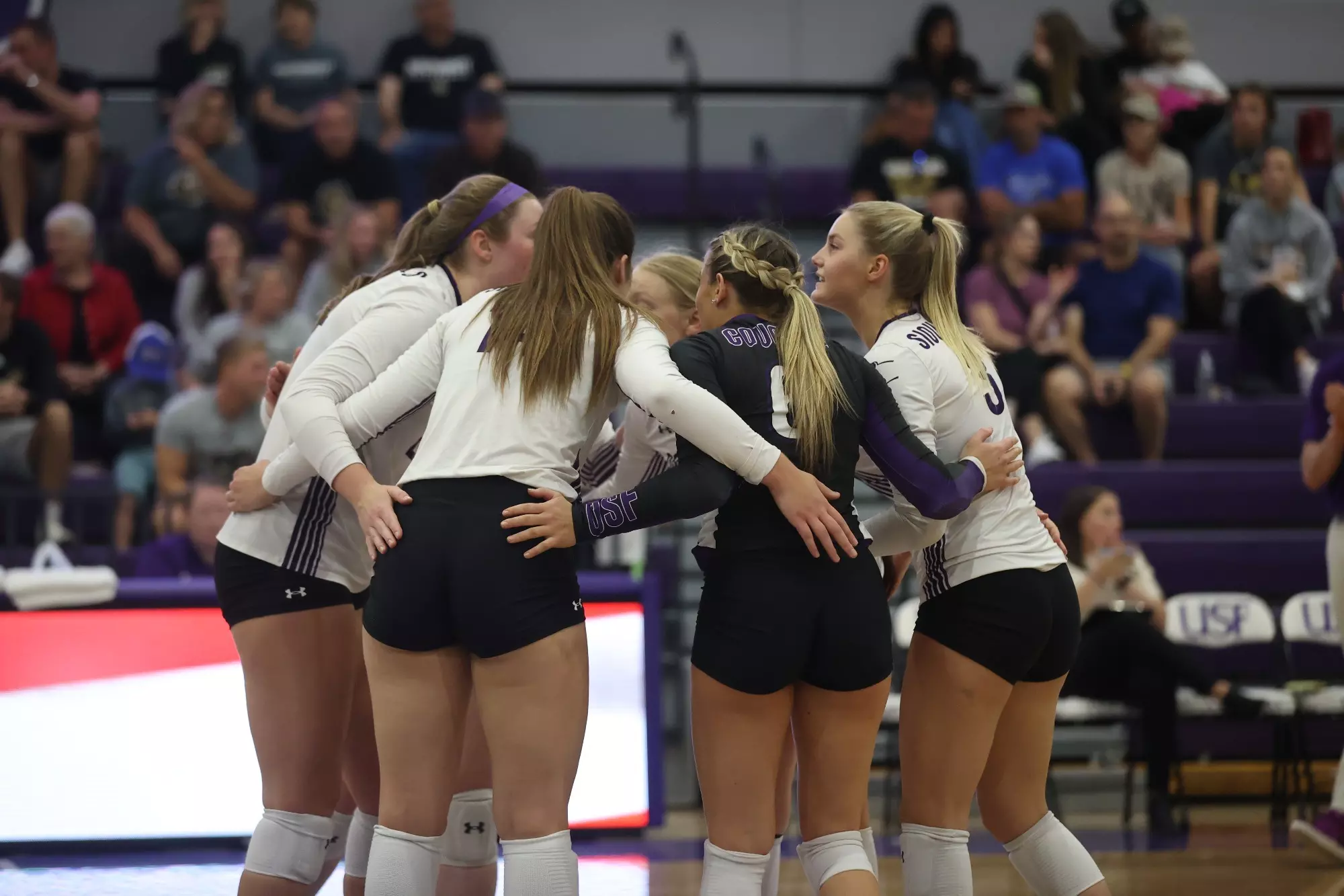 Jordyn Hamm - Volleyball - University of Sioux Falls Athletics