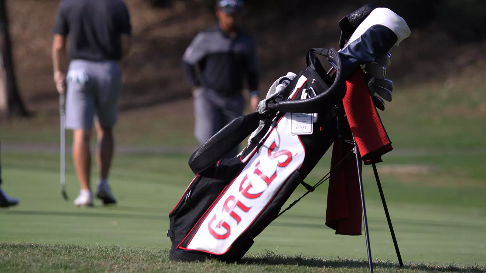 Generic golf bag